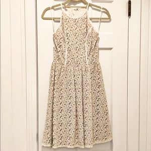 Cream and gold shimmer lace Ark & co dress-small